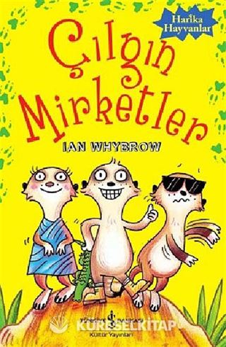 Çılgın Mirketler