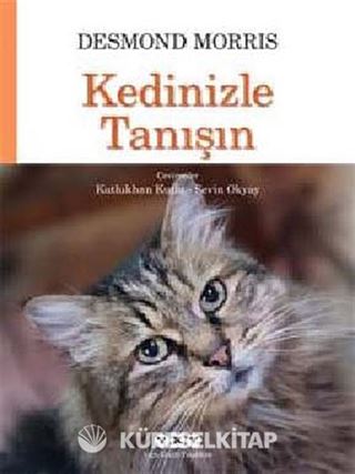 Kedinizle Tanışın