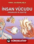 Temel Kavramlarla İnsan Vücudu Organları ve İşleyişi
