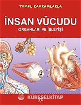 Temel Kavramlarla İnsan Vücudu Organları ve İşleyişi