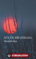 Küçük Bir Gökada
