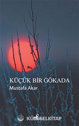 Küçük Bir Gökada