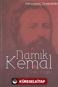 Namık Kemal / Edebiyatımızın Zirvesindekiler