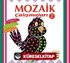 Mozaik Çalışmaları 2