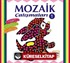 Mozaik Çalışmaları 1