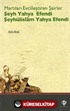 Martıları Evcilleştiren Şairler Şeyh Yahya Efendi Şeyhülislam Yahya Efendi