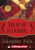 Tulip of İstanbul