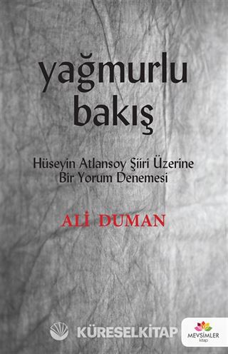 Yağmurlu Bakış