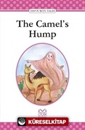 The Camel's Hump / Level 3