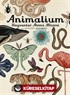 Animalium / Hayvanlar Alemi Müzesi