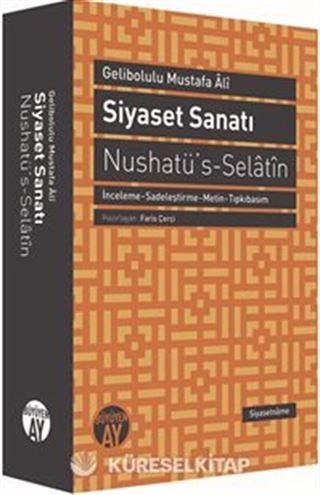 Siyaset Sanatı