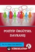 Pozitif Örgütsel Davranış