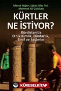 Kürtler Ne İstiyor?