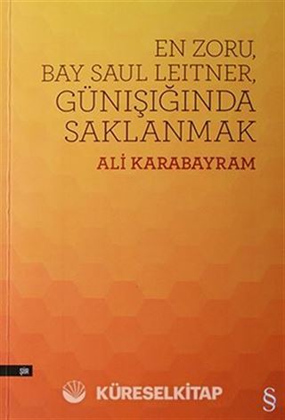 En Zoru, Bay Saul Leitner, Gün Işığında Saklanmak