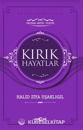 Kırık Hayatlar