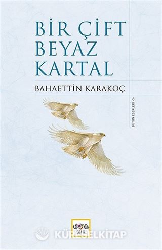 Bir Çift Beyaz Kartal (Ciltli)