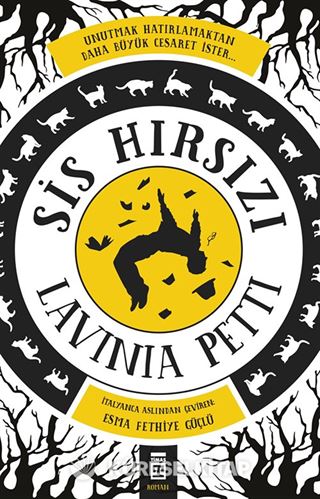 Sis Hırsızı