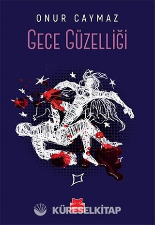 Gece Güzelliği