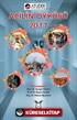 Acilin Öyküsü 2017