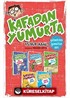 Kafadan Yumurta Seti (5 Kitap)