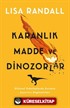 Karanlık Madde ve Dinozorlar