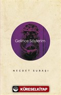 Gelince Söylerim