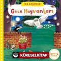 Hareketli Gece Hayvanları