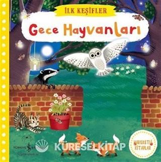 Hareketli Gece Hayvanları