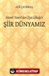 Ahmet Yesevi'den Ziya Gökalp'e Şiir Dünyamız