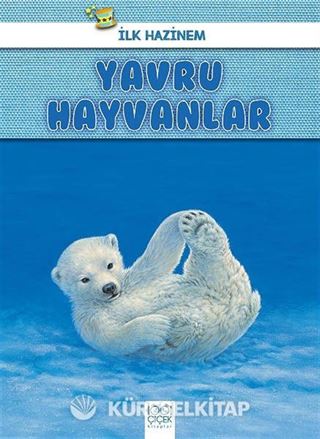 İlk Hazinem - Yavru Hayvanlar