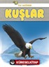 İlk Hazinem - Kuşlar