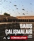 Barış Çalışmaları