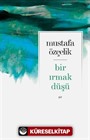 Bir Irmak Düşü