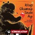 Kitap Okumayı Seven Ayı