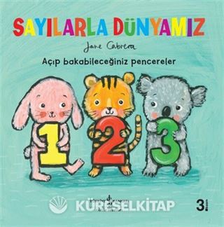 Sayılarla Dünyamız