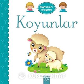 Hayvanları Tanıyalım / Koyunlar