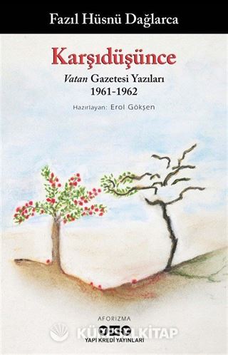 Karşıdüşünce