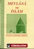 Mevlana ve İslam