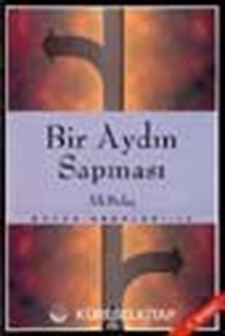 Bir Aydın Sapması