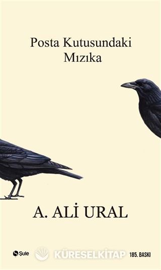 Posta Kutusundaki Mızıka (Ciltsiz)