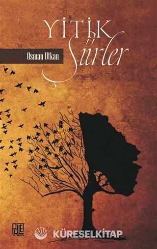 Yitik Şiirler