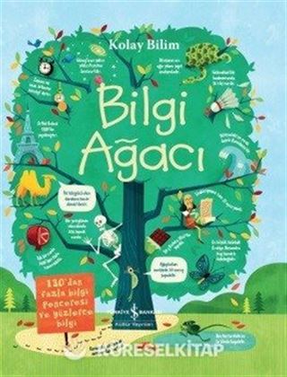 Kolay Bilim / Bilgi Ağacı