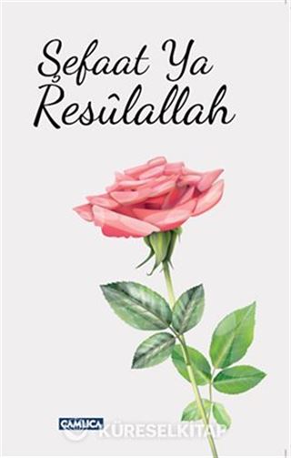 Şefaat Ya Resulallah (2 Kitap)