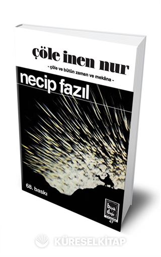 Çöle İnen Nur (Ciltli Hatıra Baskı)