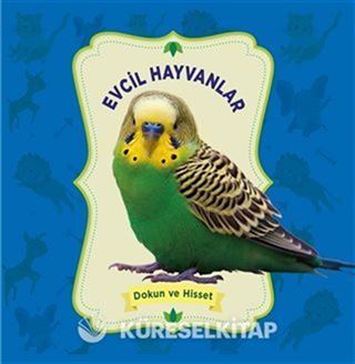 Evcil Hayvanlar - Dokun ve Hisset