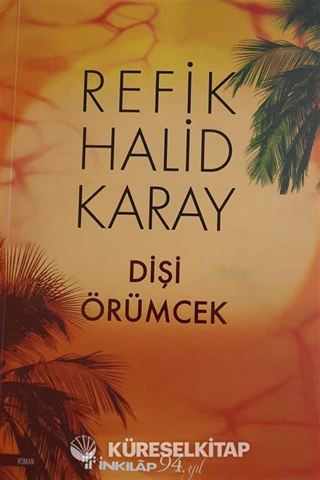 Dişi Örümcek