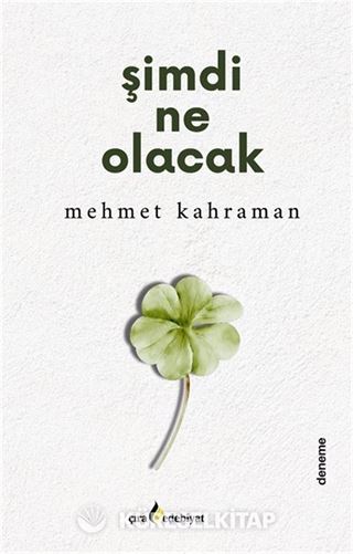 Şimdi Ne Olacak