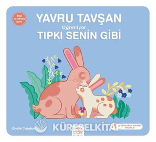 Yavru Tavşan Öğreniyor Tıpkı Senin Gibi