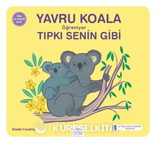 Yavru Koala Öğreniyor Tıpkı Senin Gibi