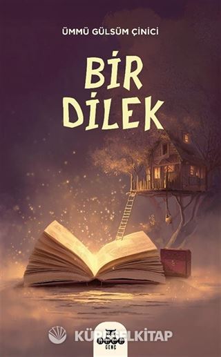 Bir Dilek